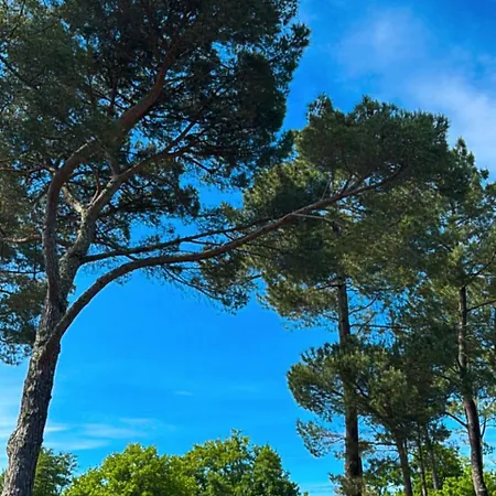 Le Txoko Campingplads *